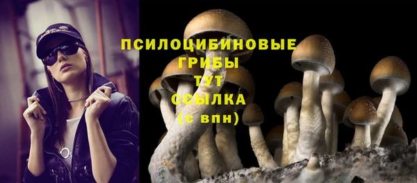 кокаин колумбия Алзамай