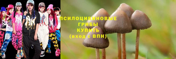 шишки Алексеевка