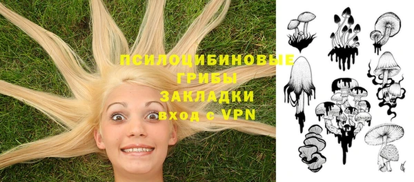 кокаин Алексин