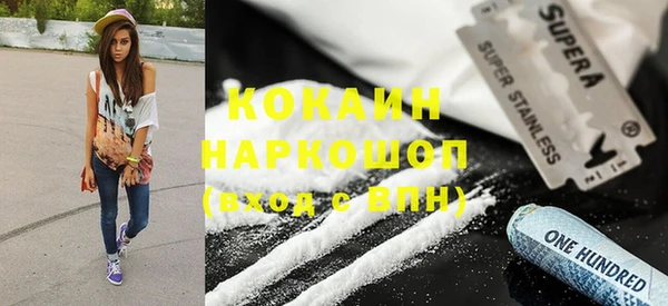 шишки Алексеевка